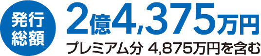 発行総額